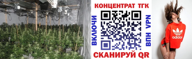 ТГК вейп с тгк  Купить  Холм 